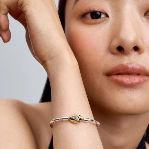 Pandora Snake Clasp & Chain Bracelet - Picture 3 of 5